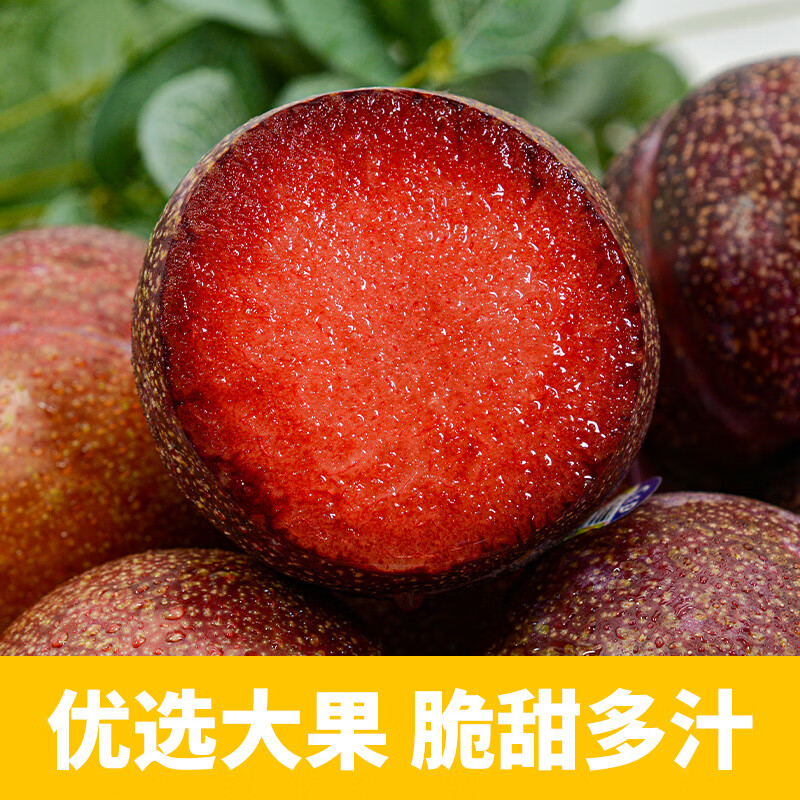 爆甜 澳洲进口李子顺丰5斤恐龙蛋水果血丝凤凰李红心布林孕妇当季 2斤 80-130g 进口精品