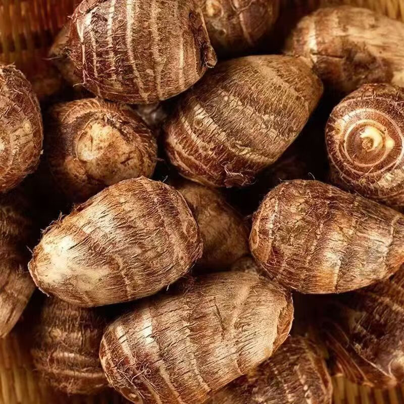 现挖芋头贵州新鲜芋头 小芋头农家芋艿粉糯香芋小毛芋头芋儿仔芋 大果 5斤