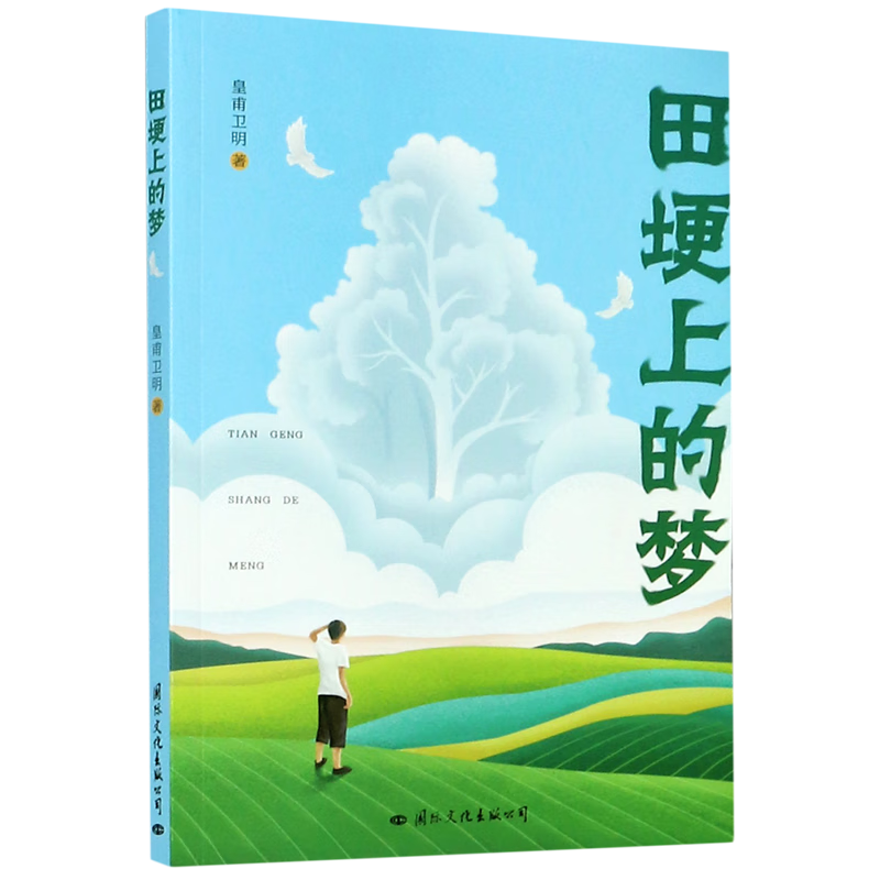 【新华书店正版】田埂上的梦 皇甫卫明 中国文学-小说