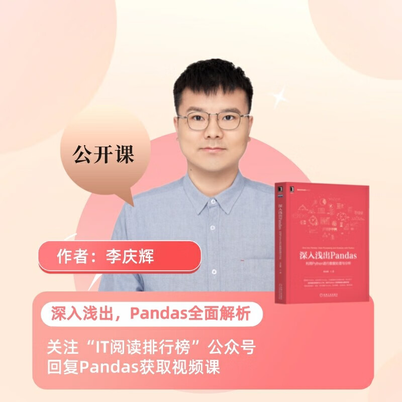 深入浅出Pandas：利用Python进行数据处理与分析详情图