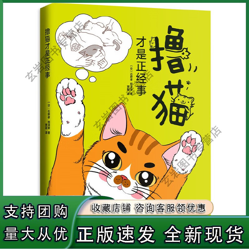 n撸猫才是正经事