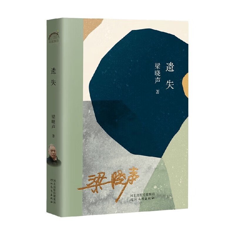 遗失 茅盾文学奖得主梁晓声年轮典存丛书人世间中国当代小说书籍 代