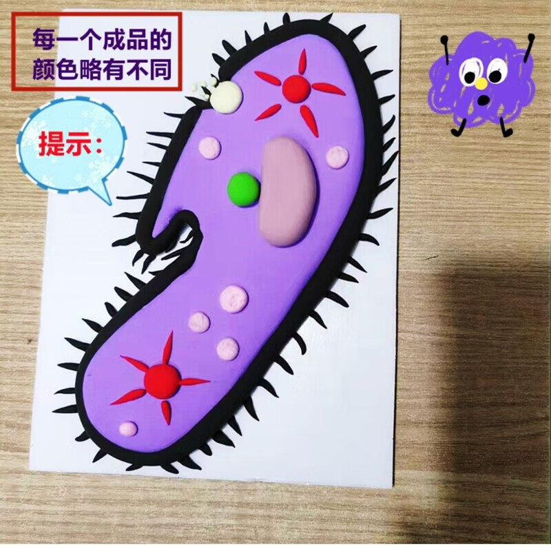 细胞模型制作材料 七年级植物高中初中手工作业科技包黏土生物 草履虫