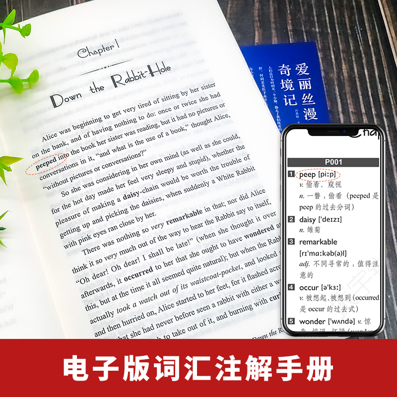 爱丽丝漫游奇境记英文版原版原著 爱丽丝梦游仙境书 童话故事儿童文学童话小说小学生初中生版 振宇书虫-全英文版