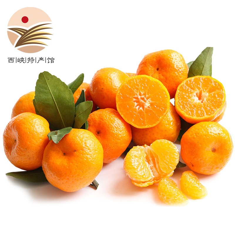 静益乐源沙糖橘 广西砂糖桔 桔子 新鲜水果 2.5kg装