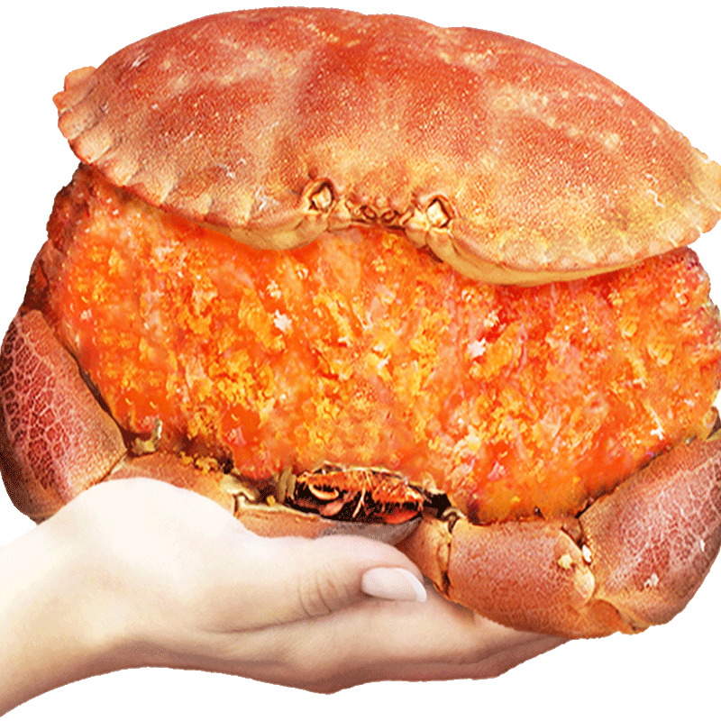 首鲜道 熟冻面包蟹 2只 1.6kg-2kg