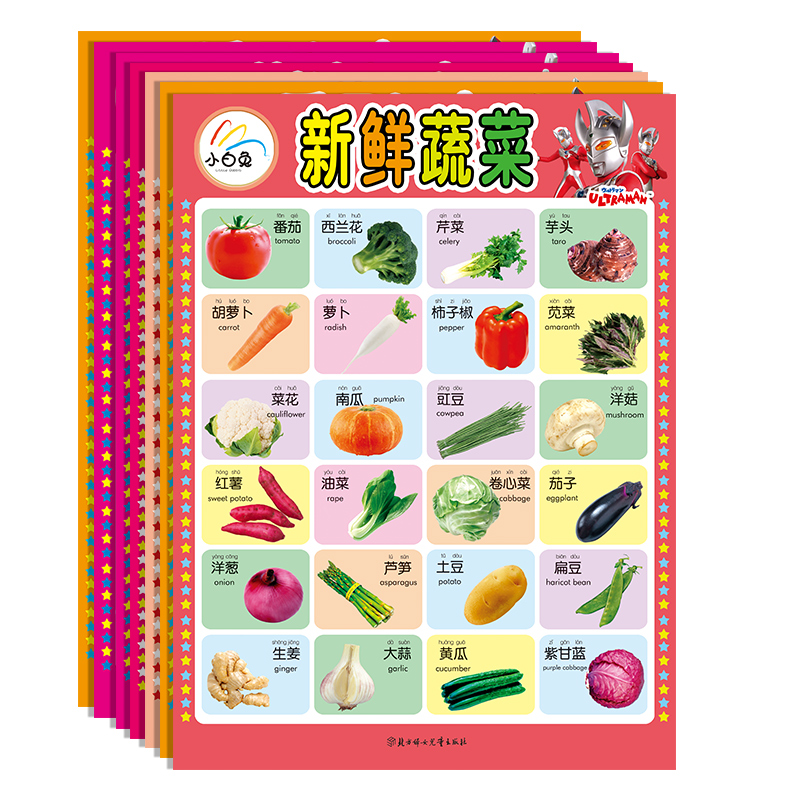 挂图交通工具世界名车动物世界基础识字(提