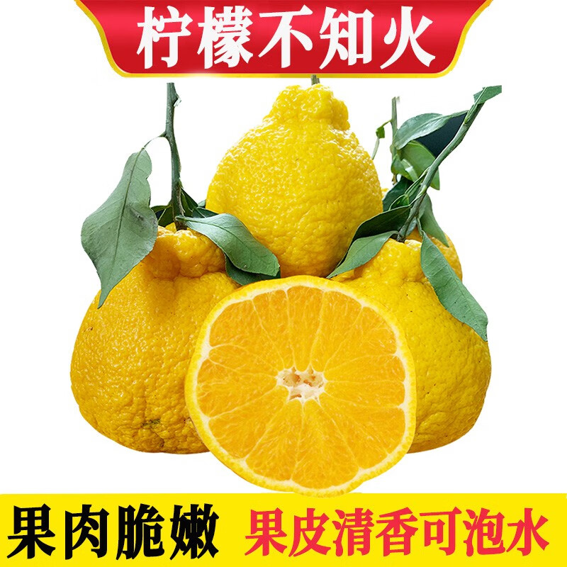 柠檬不知火丑橘 脆嫩香甜粑粑柑 春见 新鲜水果 5斤中果约9-12个