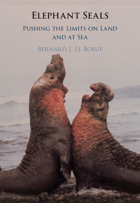 预订 elephant seals