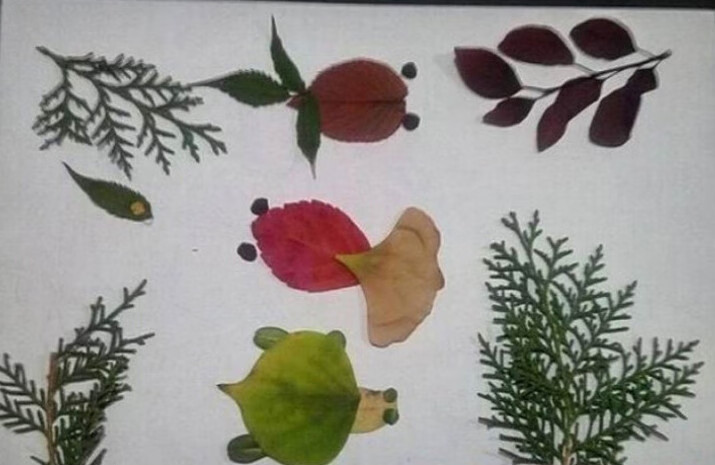 树叶粘贴画 幼儿园秋亲子活动创意制作叶子材料包手工diy 海底世界