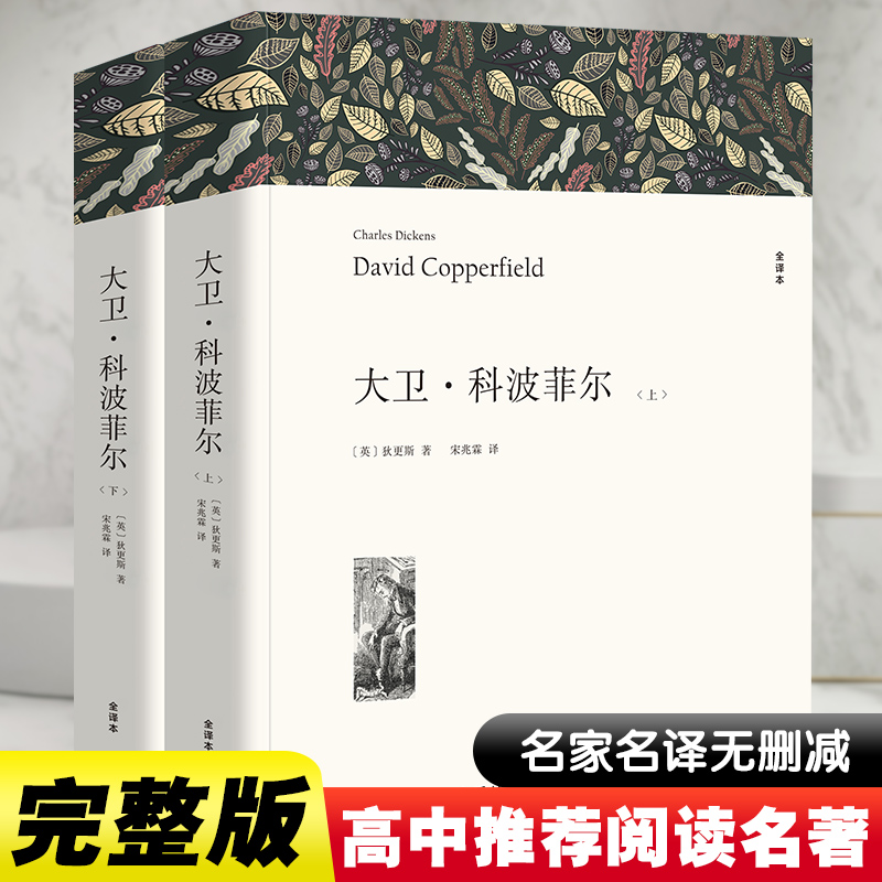 【正版包邮】名家文丛 世界经典文学名著 初高中推荐阅读 图书 全译本平装版 大卫·科波菲尔全2册