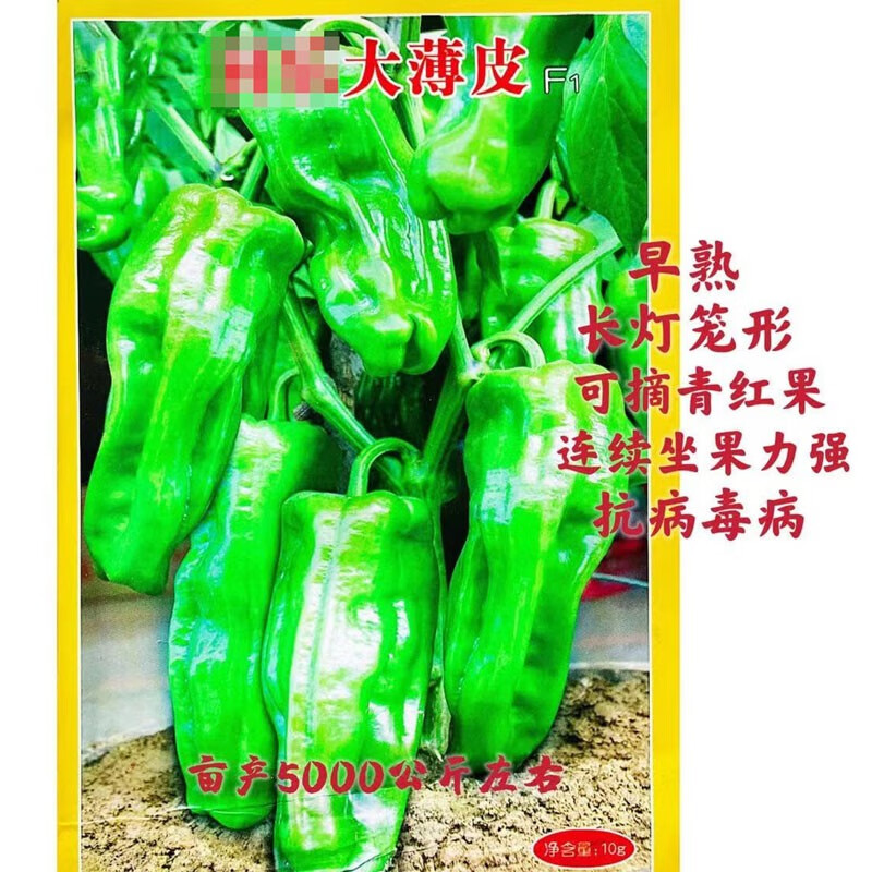 春枝韵薄皮椒种子高产青辣椒种籽牛角椒南北方蔬菜种孑 大皮椒200粒1