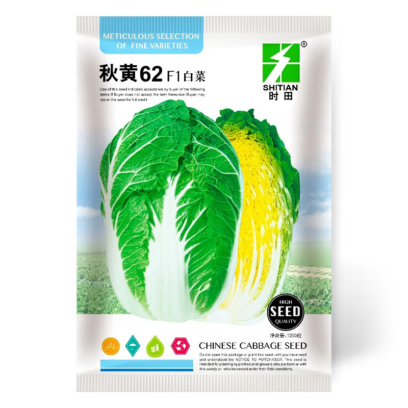 神禾黄心大白菜种子山东胶州春季种植蔬菜籽 秋黄62白菜种子 10g