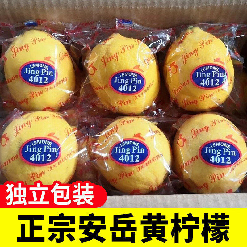 忆京源四川安岳黄柠檬 现摘新鲜水果皮薄多汁今年新果一级鲜柠檬泡水 1斤中果尝鲜【彩袋独立包装】