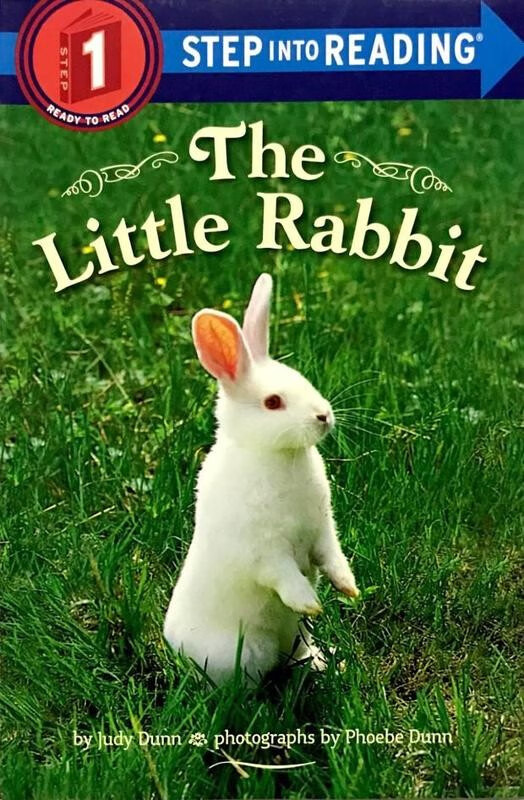 现货 英文原版 小兔子 分级读物 the little rabbit