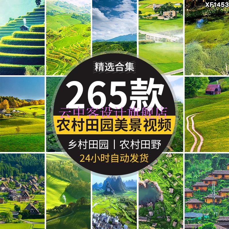 竖屏版农村田园美景农家田野田地乡村系清新绿色抖音视频素材 标准