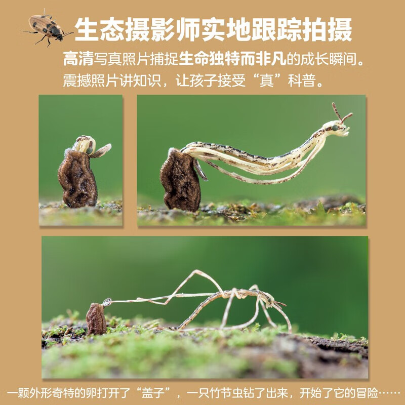 【无穷小亮推荐】生命的故事 赠音频 高清实拍昆虫动物科普百科全书12345辑+番外篇 赠音频 纸上纪录片自然科普儿童绘本 幼儿园动物世界3-6-8-10岁 人民日报推荐官方正版省钱卡图书卡 生命的故事