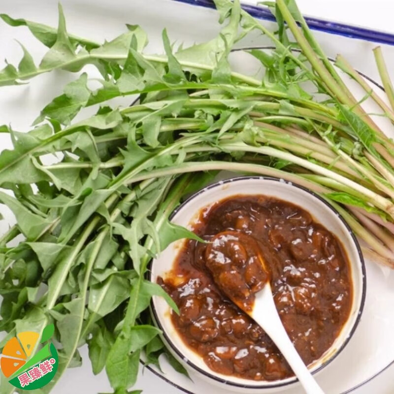 蒲公英 山东新鲜婆婆丁东北蘸酱菜 时令小野菜现挖现发可凉拌炒菜