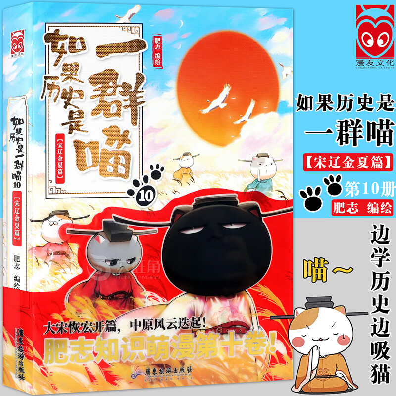 现货《如果历史是一群喵10》宋辽金夏篇 肥志知识萌漫第三卷国学漫画