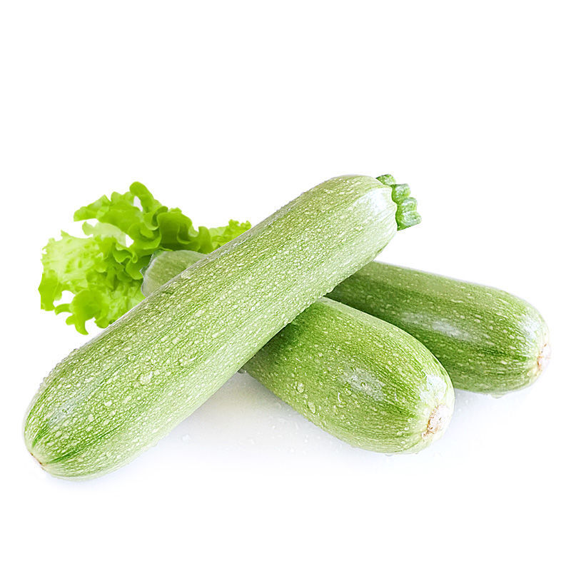 【现摘现发】新鲜蔬菜云南特产农户自种西葫芦嫩茭瓜三月瓜小瓜 西