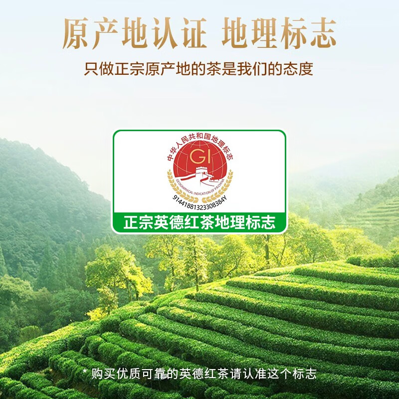 中广德盛英红九号红茶浓香型正宗广东原产英德红茶功夫红茶 【严选口粮】英红九号 400g