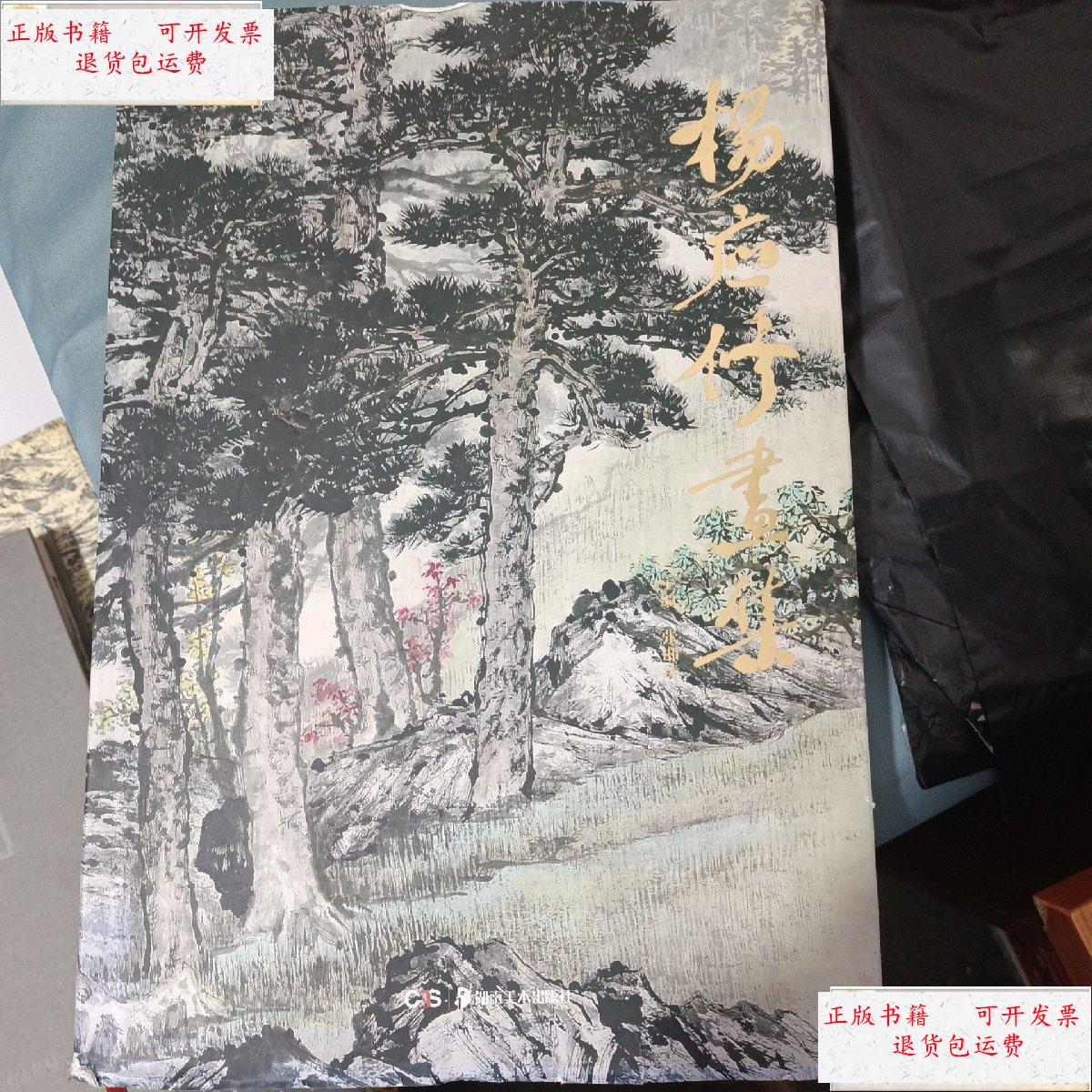 【二手9成新】杨应修画集(8开精装) /杨应修绘 湖南美术出版社