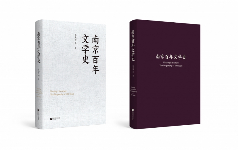 南京百年文学史 张光芒 等