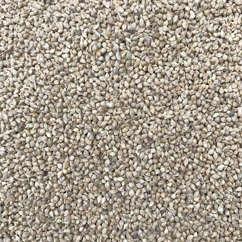 【紫歆官方旗舰店】最受欢迎花草林木商品，价格走势分析|如何查看花草林木类的历史价格