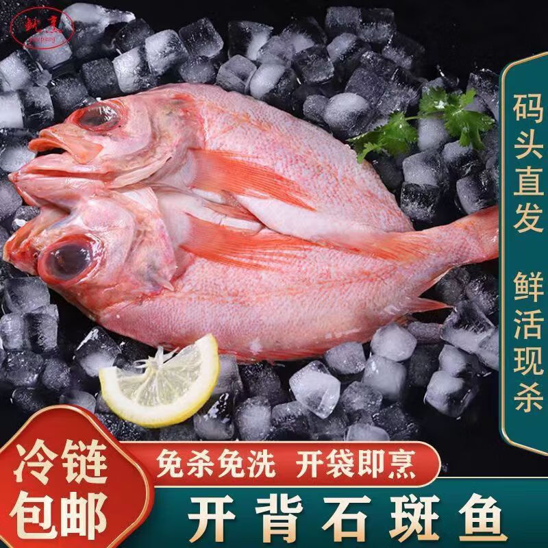 鹿凌青 深海紅石斑魚 富貴魚冰島冷凍大眼魚 去內(nèi)臟開背紅斑魚 生鮮魚類 2條【紅石斑魚】500-600g/每條 活魚開背