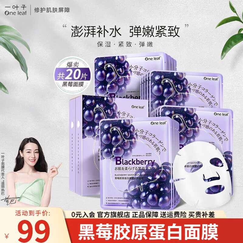 一叶子（One leaf）