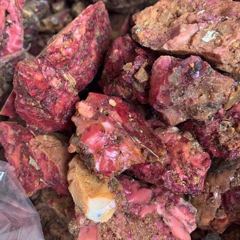 阿魏新疆五彩臭阿魏中药材钓鱼小药诱饵泡酒品质五彩阿魏钓饵打窝