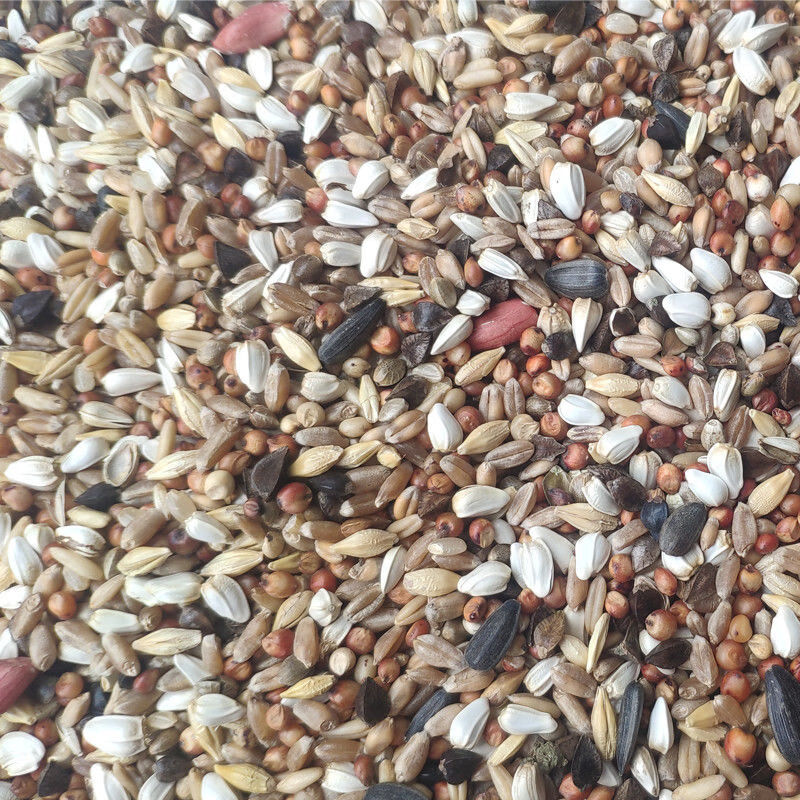 晗畅鸽子粮食50斤幼鸽饲料小鸽子无玉米无豌豆小嘴鸽营养鸽粮食信鸽鸟