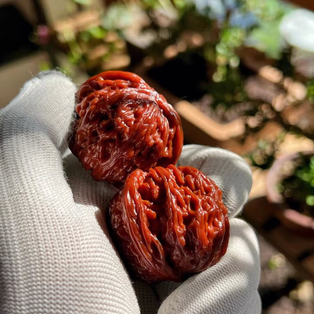 黛丝美文玩核桃机刷包浆精品闷尖四座楼白狮子头盘玩古玩把玩手玩野生