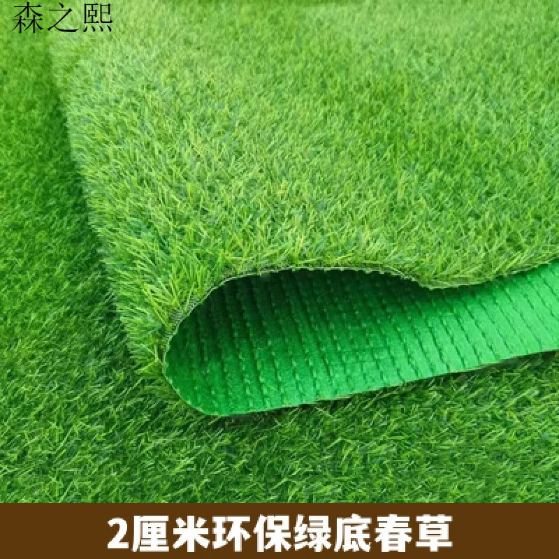 金格羽仿真草坪地毯加密人造塑料假草皮人工户外围挡装饰品绿色垫子阳台 2.0绿底草坪宽度0.5米（80%选择） 人造草坪长度10米 长度可定制