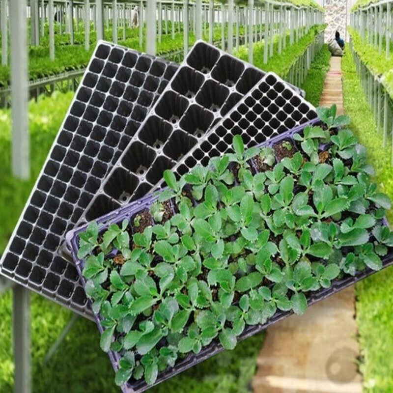 穴盘育苗盒器苗木多肉育苗箱育苗盆托盘育苗杯加厚育苗盘穴盆芽苗菜