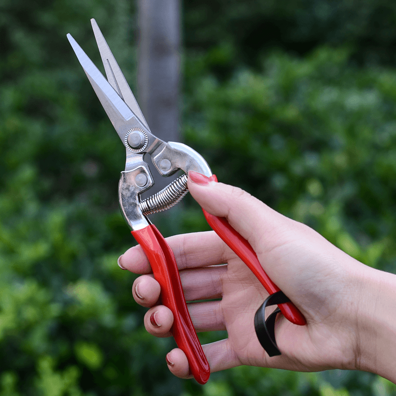 云珀修枝剪刀专用修花剪刀修枝剪月季细枝条锋利家用花剪刀修枝剪