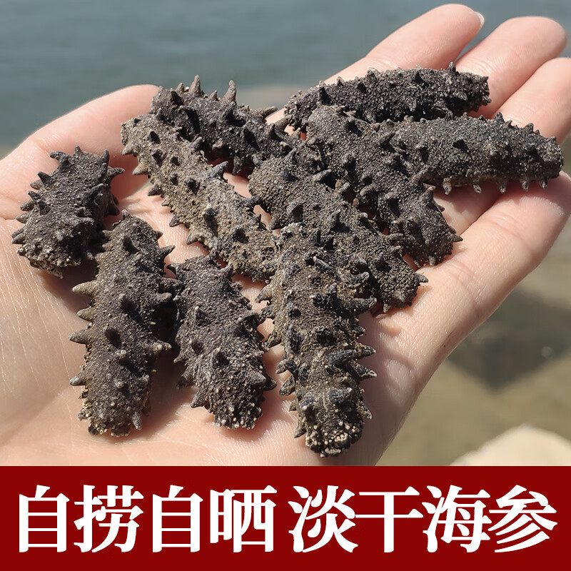 禾囍大连淡干海参干货250g 长海县野生刺参海椮海叁礼盒 250g 15-25只