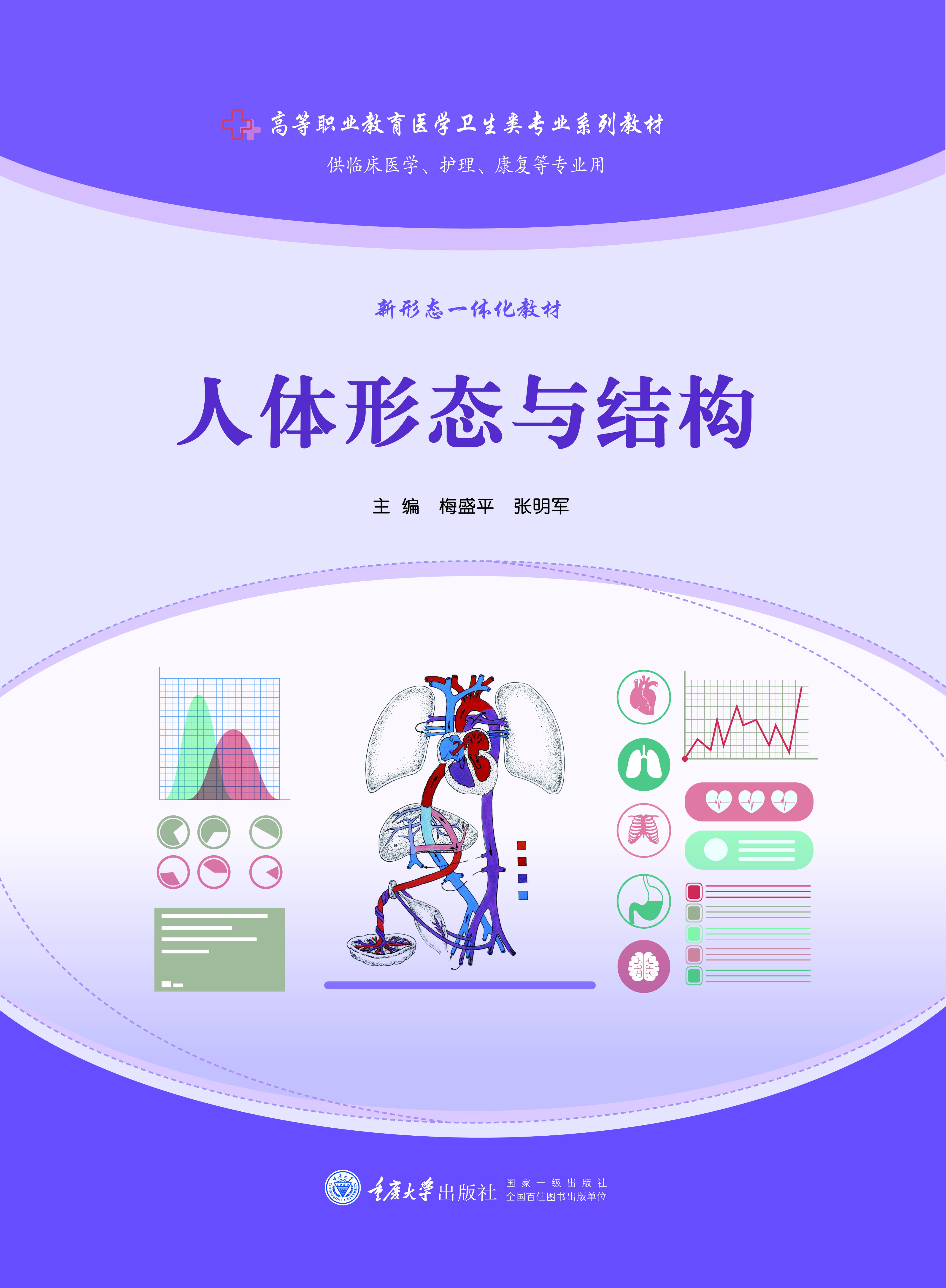 人体形态与结构