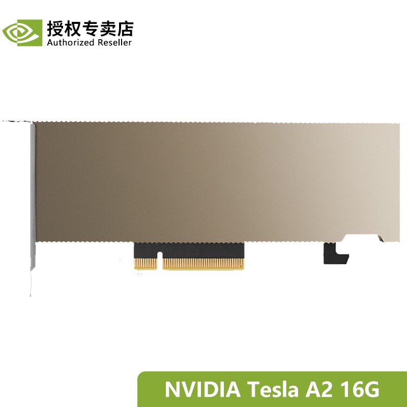 英伟达NVIDIA Tesla T4 V100 A10 A40 A100 GPU 深度学计算加速显卡 Tesla A2 16G