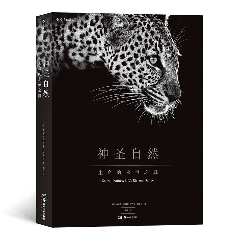 神圣自然 生命的永恒之舞 非洲动物摄影艺术图册集  后浪