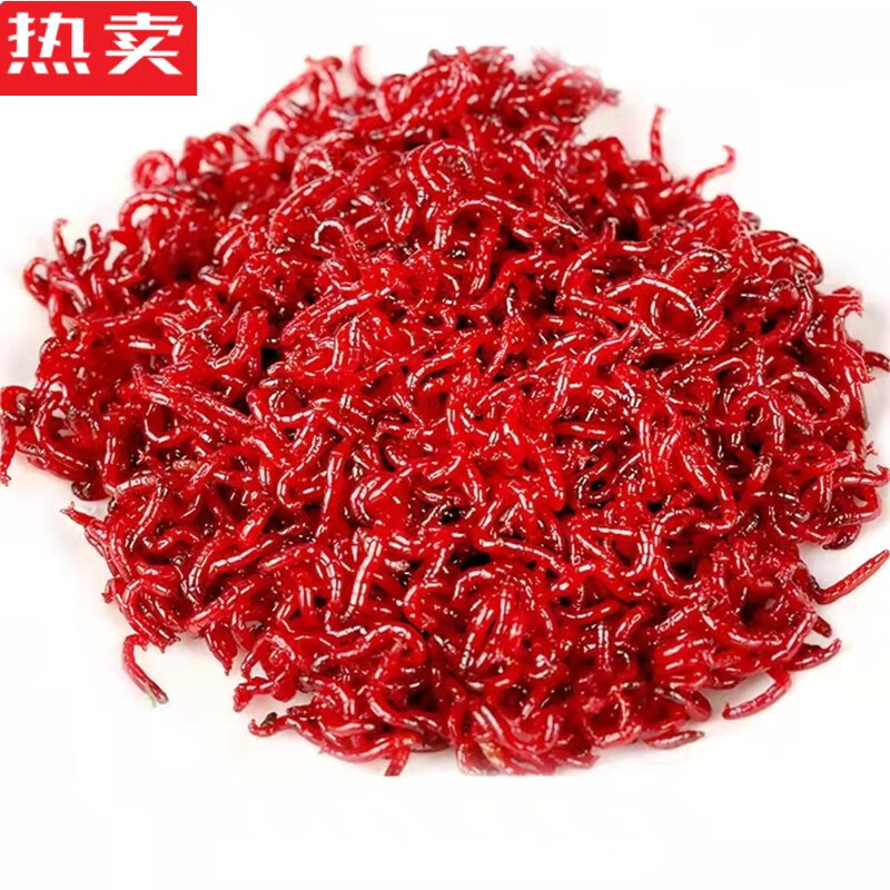 木兰旅鲜活大号挂钩拉红虫公牙活体春季喂鱼鲫淡水野钓黑坑蚯蚓蛋白