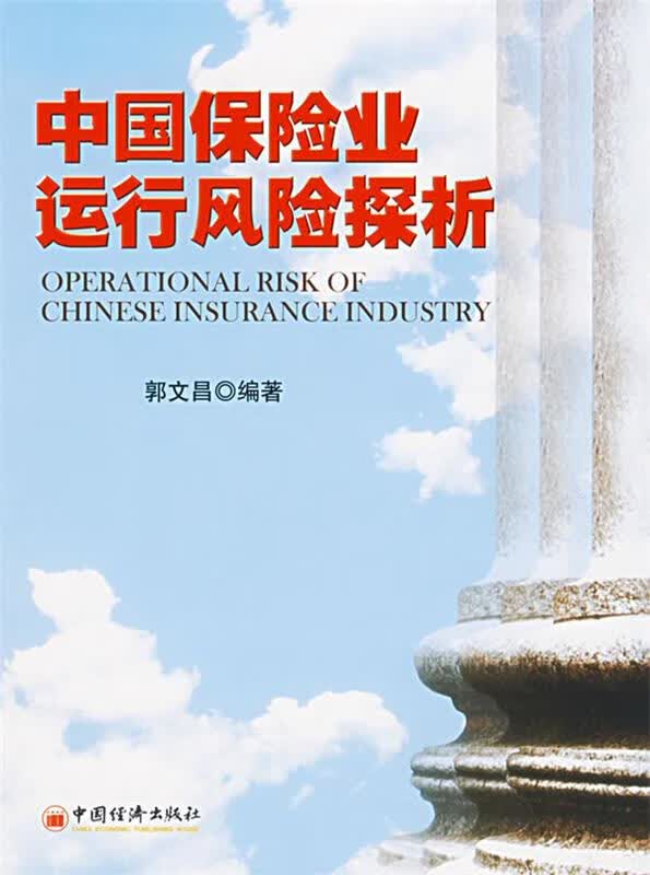 中国保险业运行风险探析