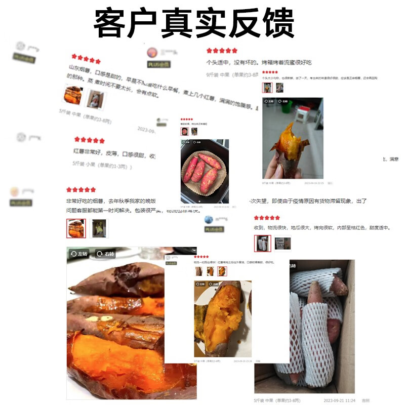 莲山九鲜山东烟薯25号新鲜沙地红薯糖心地瓜蜜甜薯番薯小香薯 中果5斤(单果约3-8两)