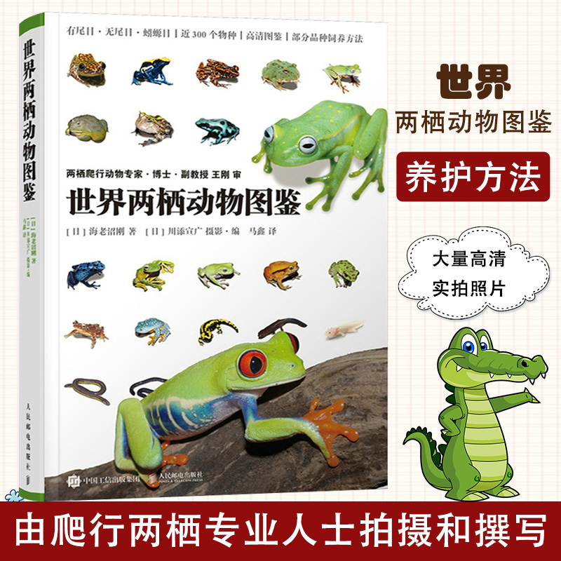 世界两栖动物图鉴 两栖动物百科大全 动物世界儿童百科 爬行动物鉴赏饲养指南