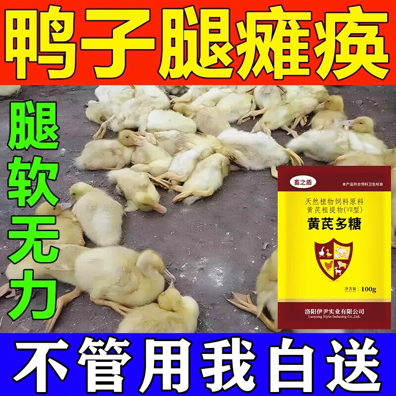 石佳鸭子腿软药站不起来浆膜炎鸡鸭鹅腿软无力瘫痪不起软脚病专用 1 袋【养鸭必备】怎么样,好用不?