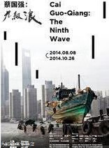 蔡国强  九级浪,psa,蔡国强工作室主编,广西师范大学出版社