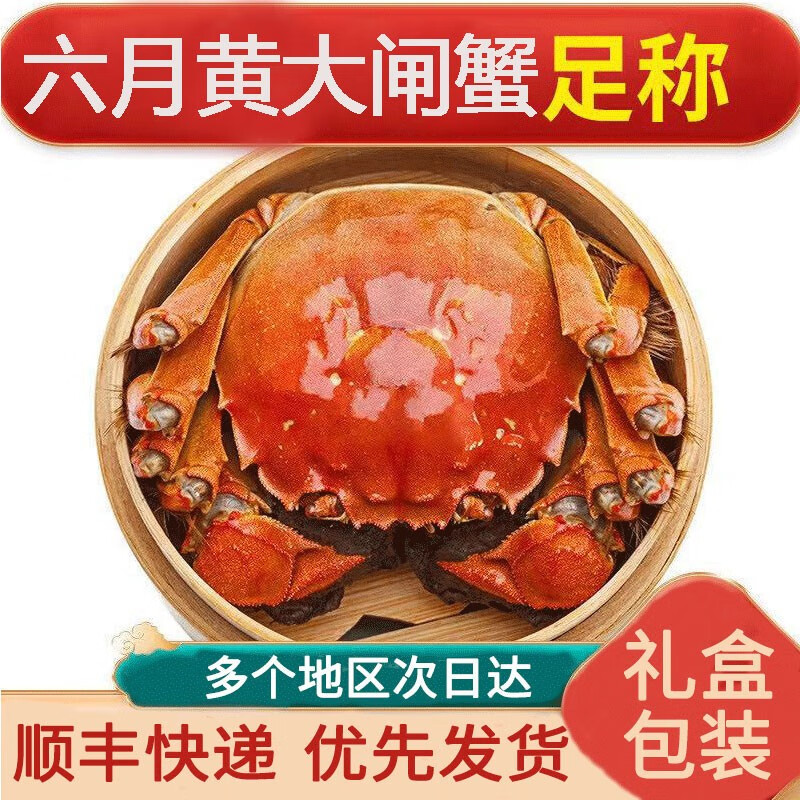 大闸蟹现货螃蟹河蟹湖蟹礼盒去绳净重 六月黄3.0-3.3两 8只