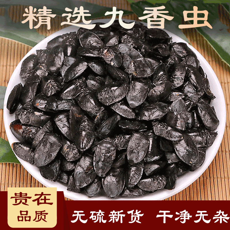 中药材100克-500克正货中药干泡茶打屁虫臭壳子虫臭壳虫内廷上用 100g