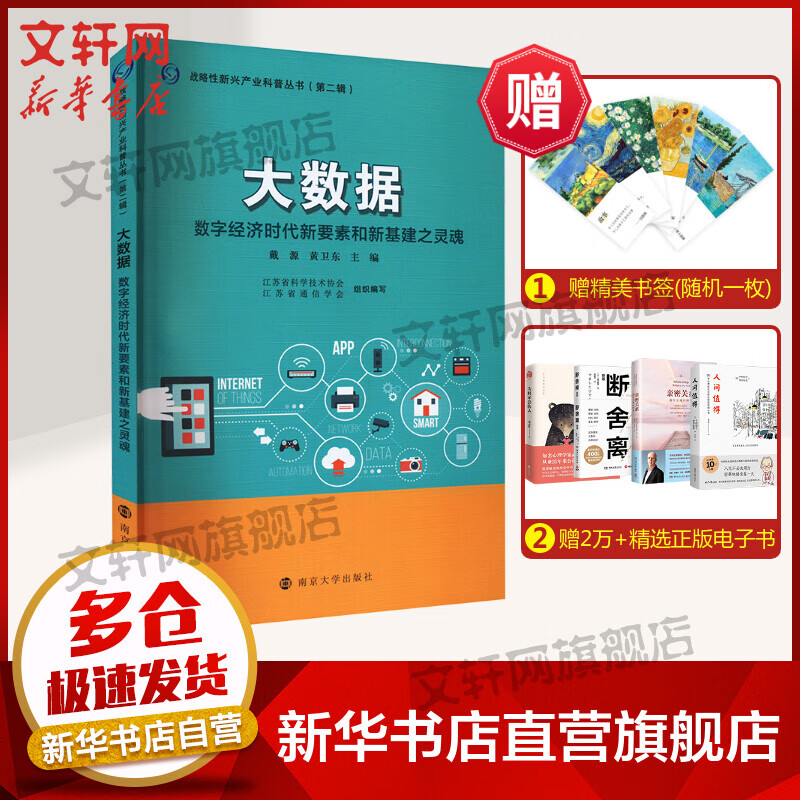 大数据 数字经济时代新要素和新基建之灵魂 图书