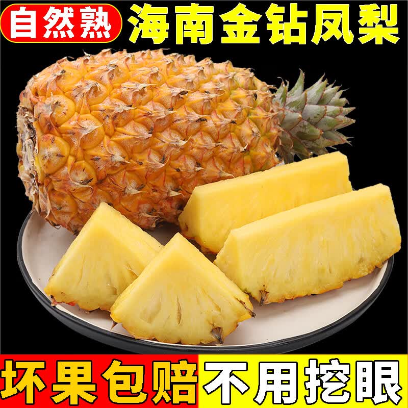 玫栀 海南金钻凤梨无需挖眼当季新鲜水果现摘香水菠萝产大果热带水果